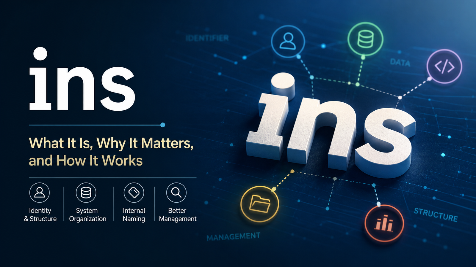 i̇ns — what it is, why it matters, and why people keep talking about it